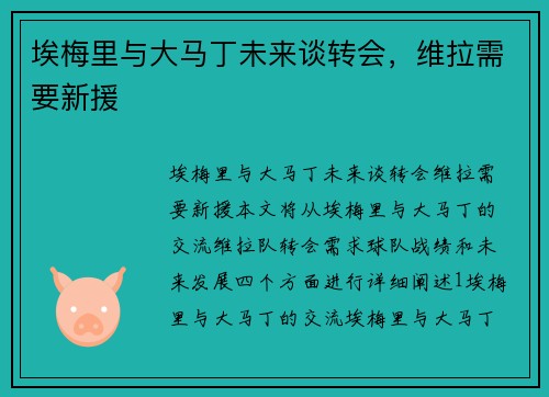 埃梅里与大马丁未来谈转会，维拉需要新援